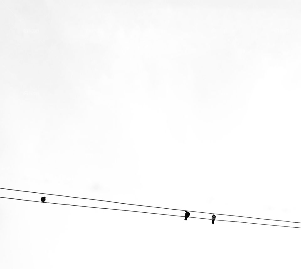 Power of three 3️⃣