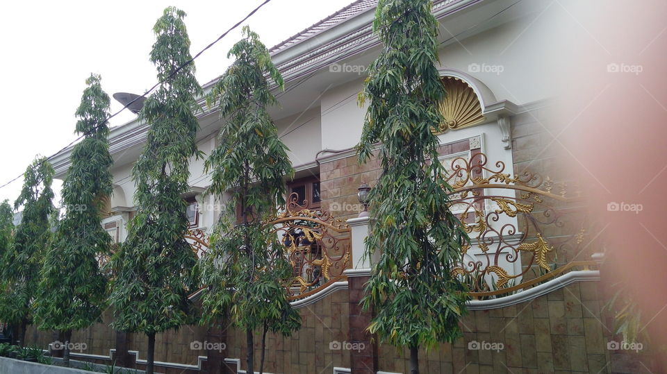 Architecture, No Person, House, Building, Window