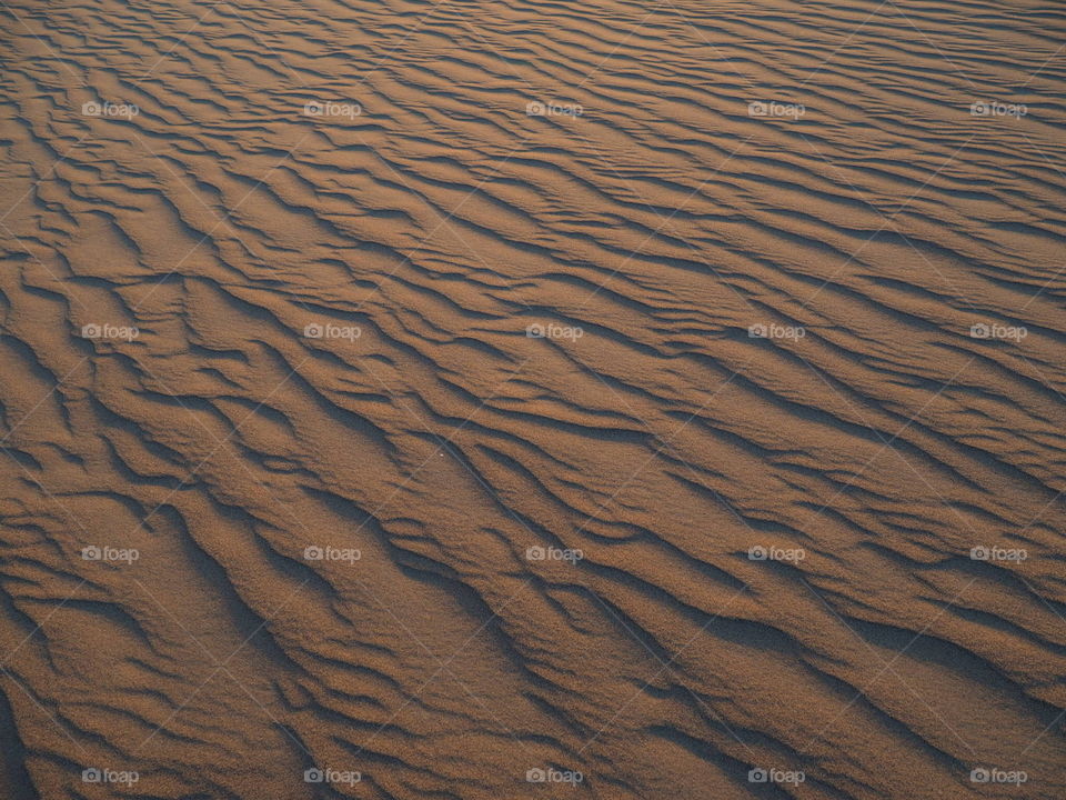 Ripples in the sand