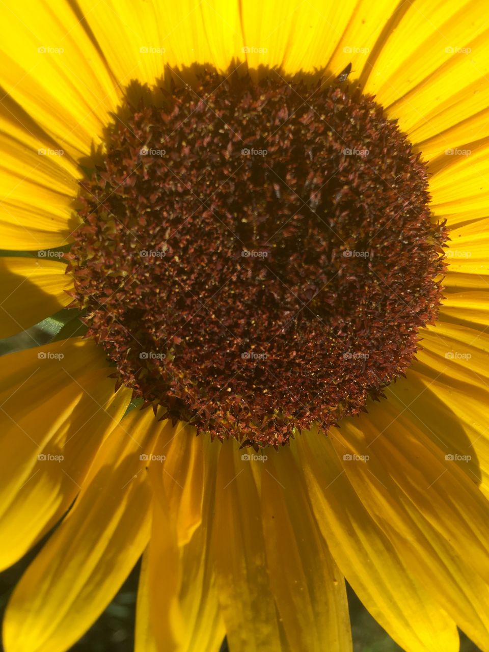 Happy weekend everyone remember to stay safe but have fun too! Masks,masks,masks!