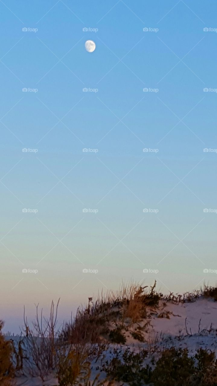 moon rising over the sand dunes