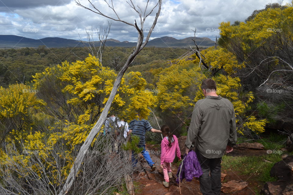 Family hiking down a mountain in south Australia's famous Flinders Ranges near Wilpena Pound, with view of Australian outback and Ranges 