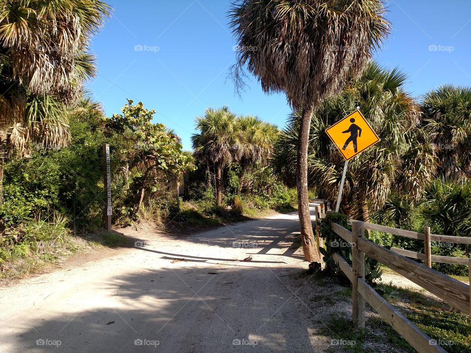 Vacation beach road.