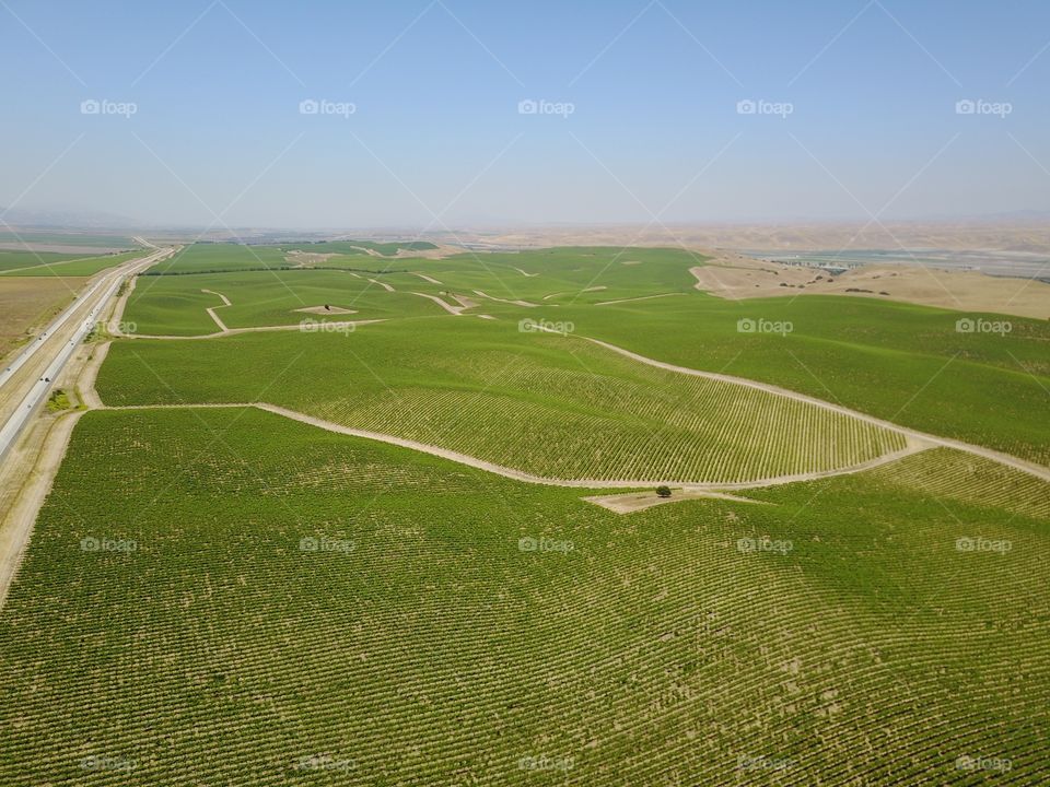 Landscape, No Person, Grass, Countryside, Field