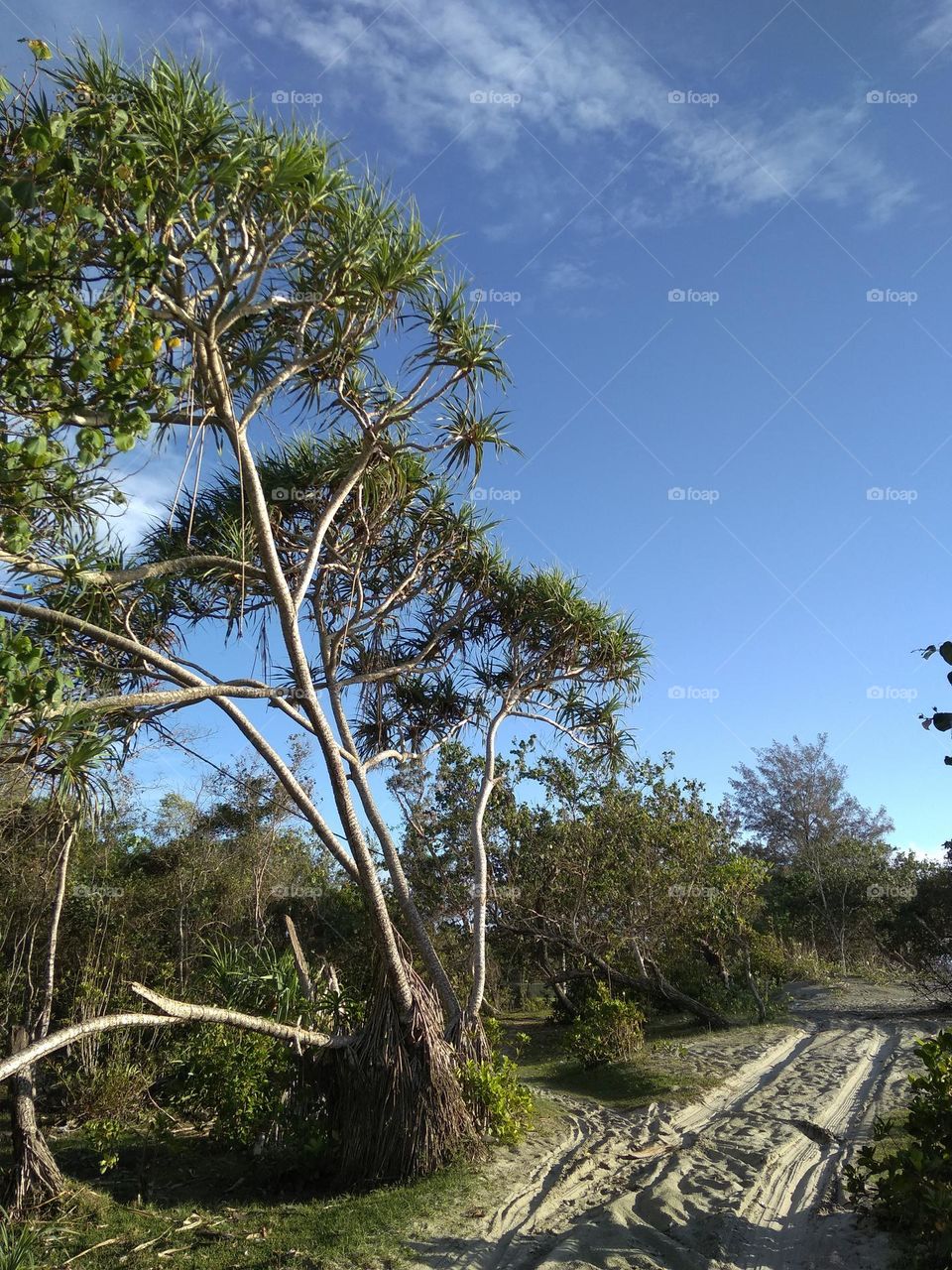 pantai part i dont know