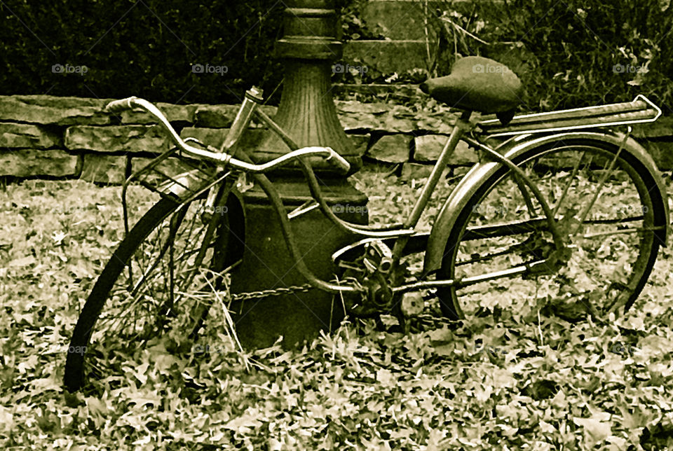 Retro bike in fallen leaves. 
