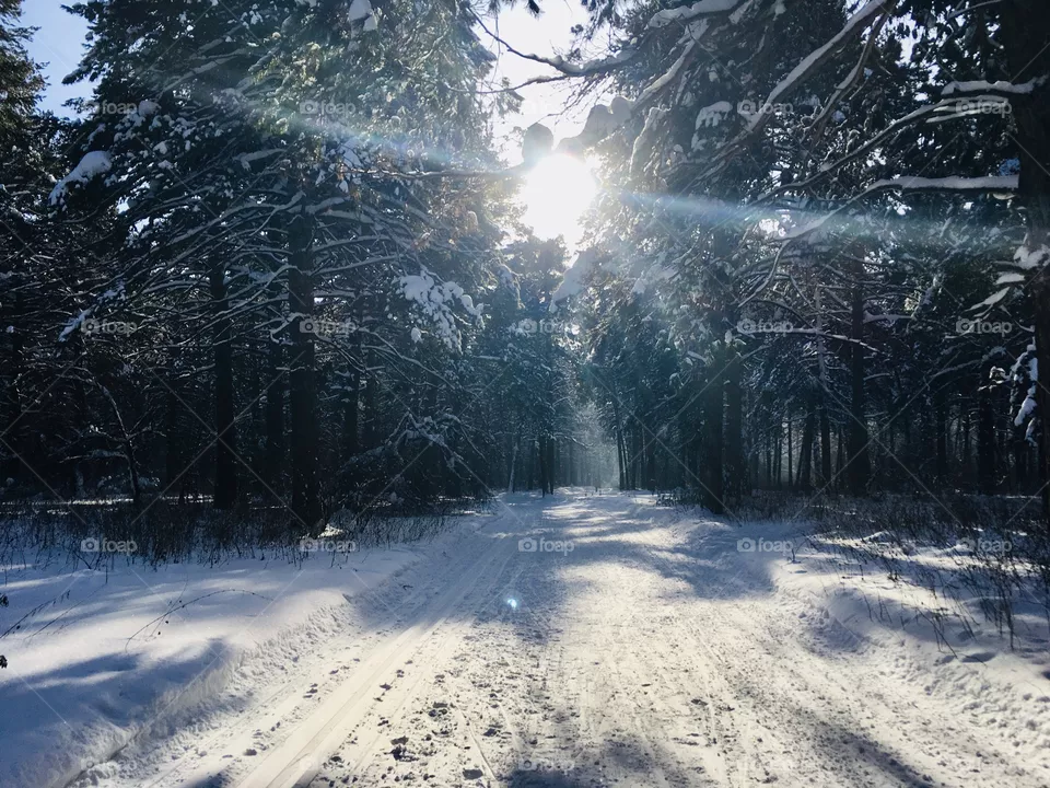 Snow 