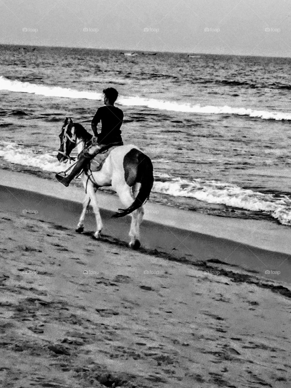 horse riding at sea beach
horse riding
sea beach
black &white