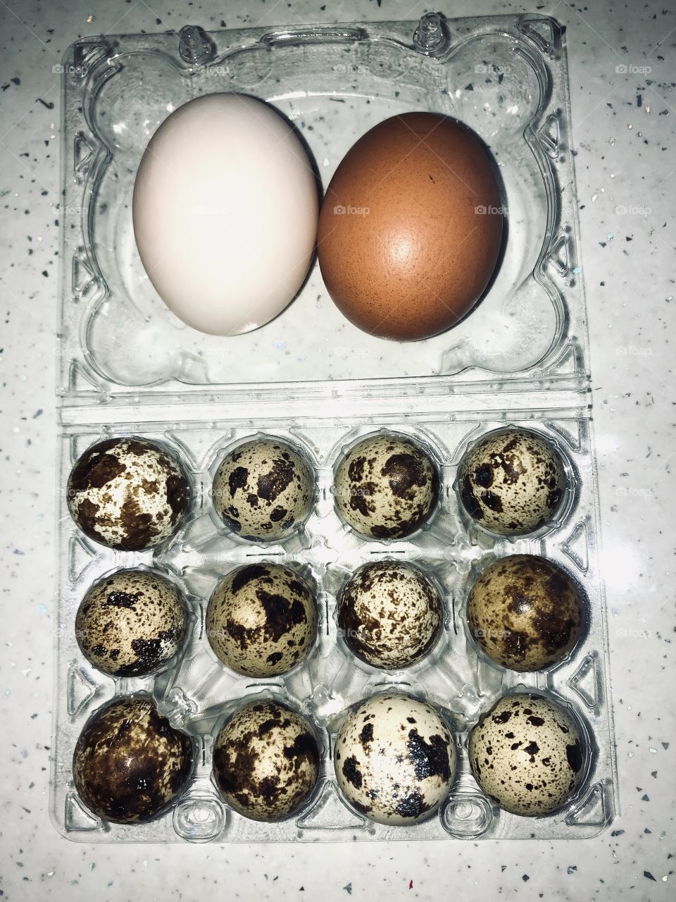 Chicken,duck,quills eggs