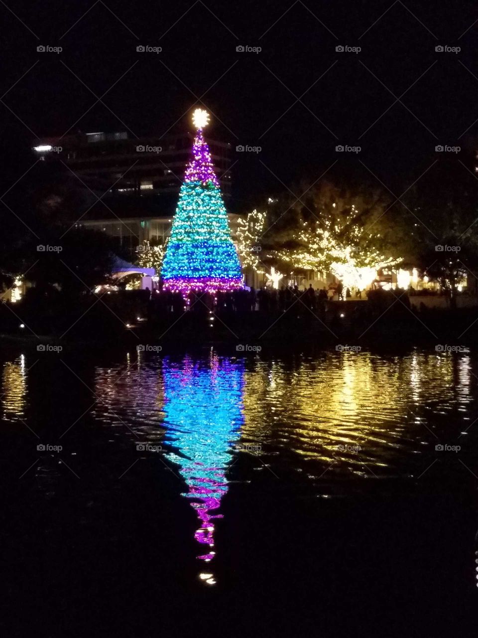 Christmas, No Person, Water, Reflection, Dusk