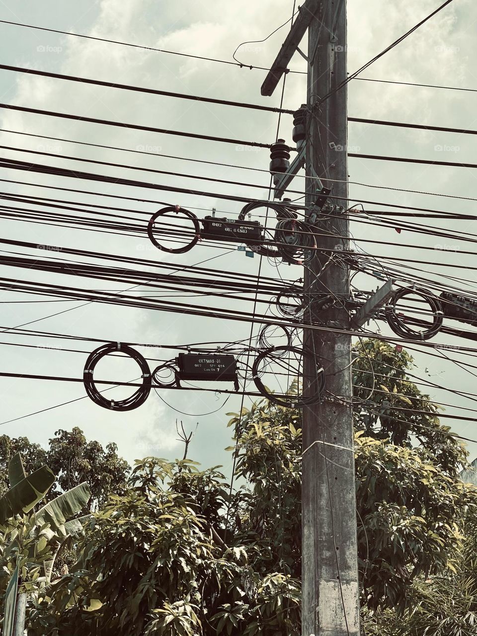 Electrical lines at the road side