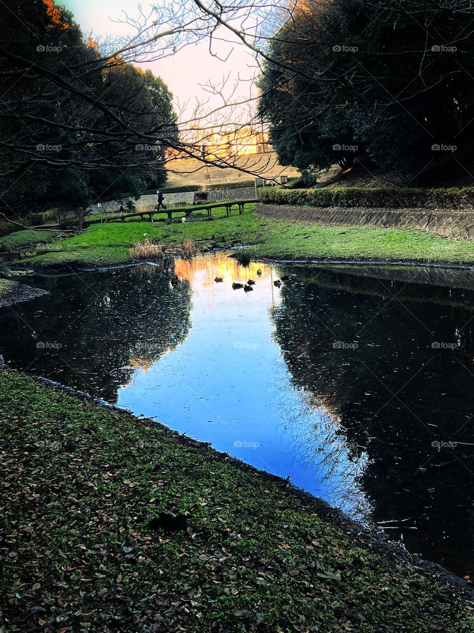 beautiful lake view in evening