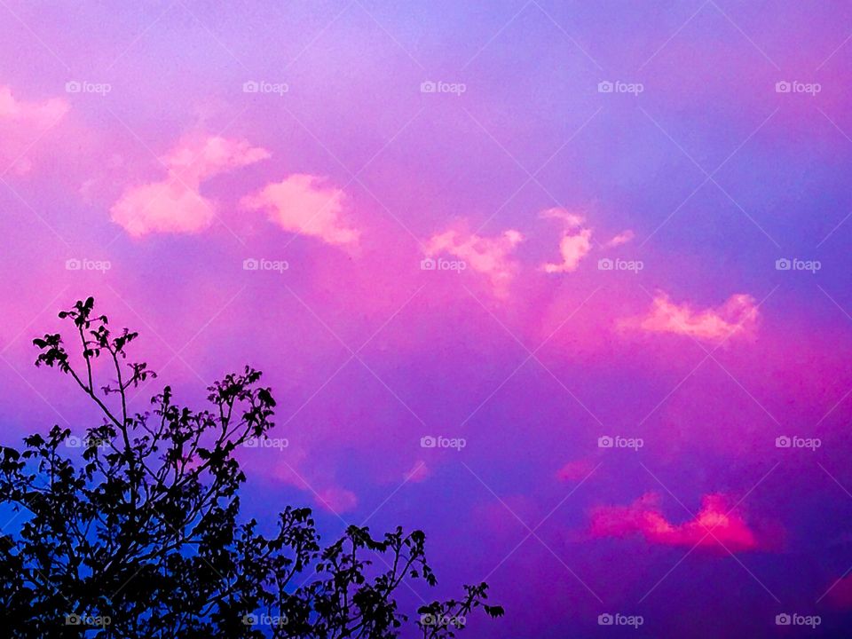 Pink evening sky