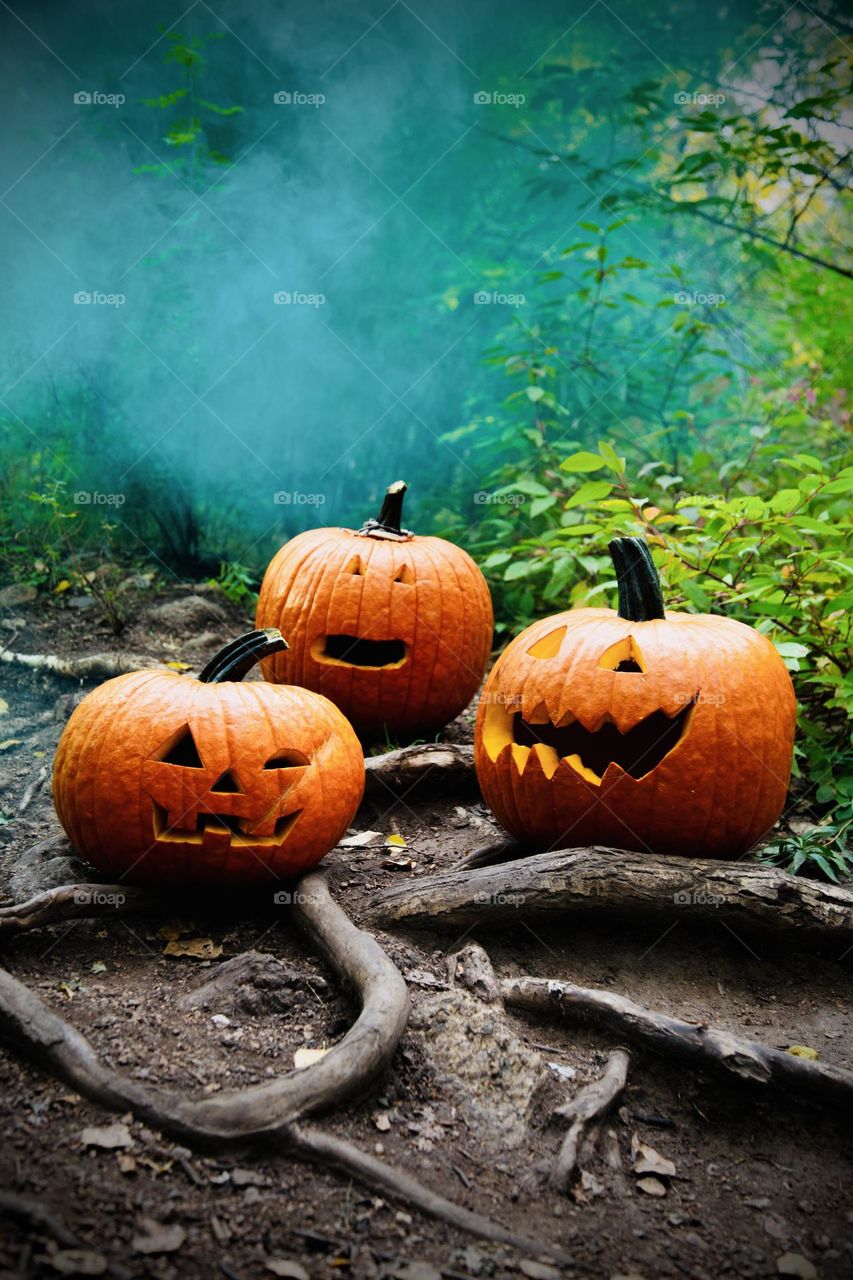 Carved Halloween pumpkins 