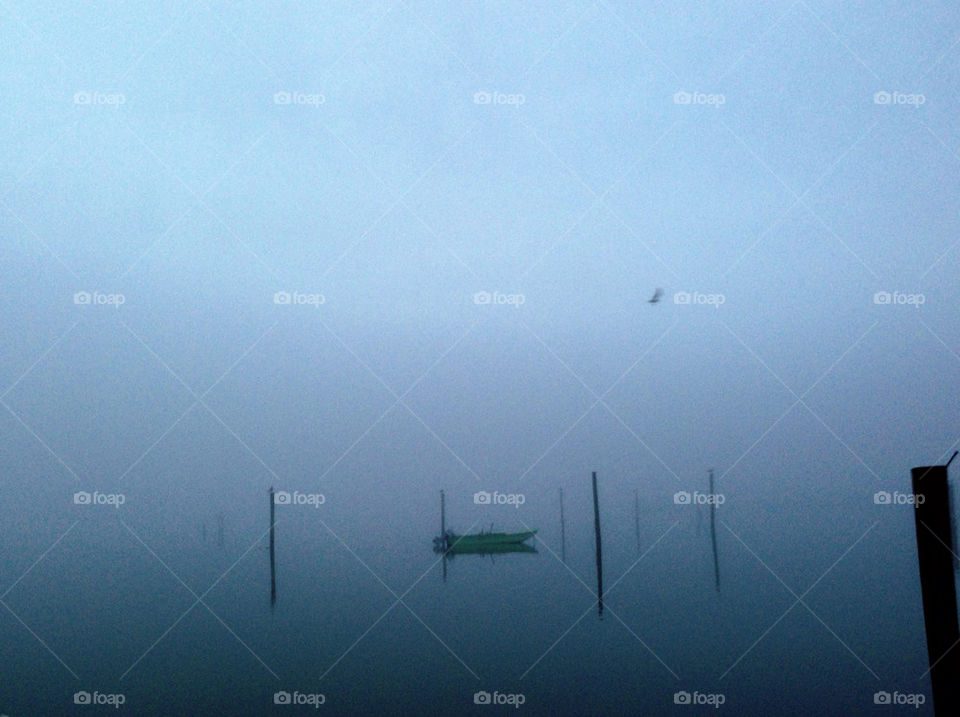 fog on the marsh