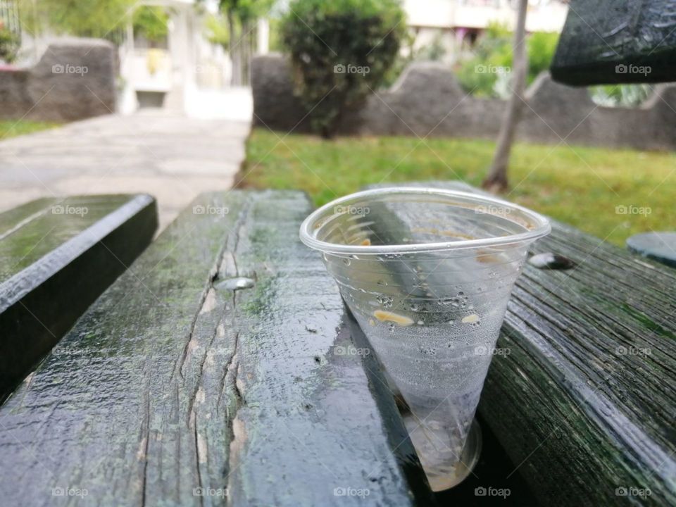 plastic disposable cup between the boards of a wooden bench