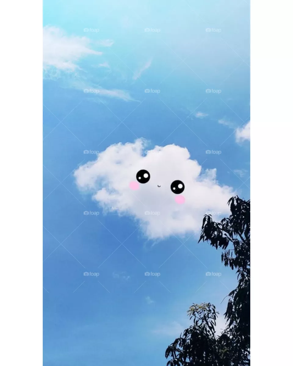 weeping cloud