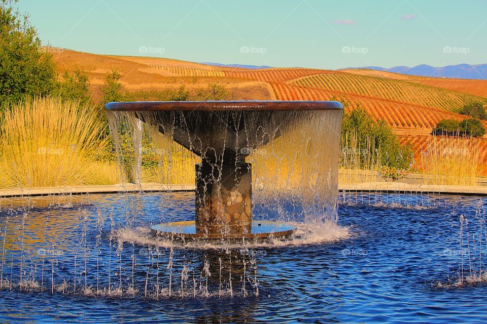 The fountain at Artesia winery;  iconic, modern, hilltop Estate, just 15 minutes from both downtown Napa and Sonoma, California. 