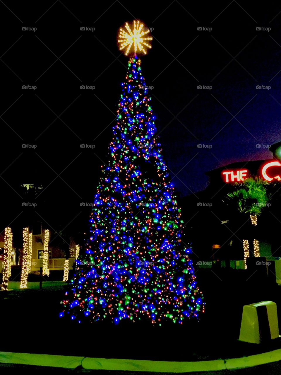 Time for that Christmas spirit, and what better way to start with an elegant lighted Christmas tree