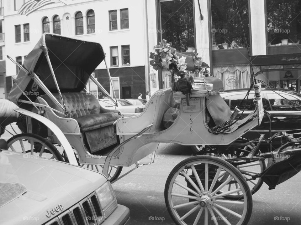 Horse drawn buggy - New York