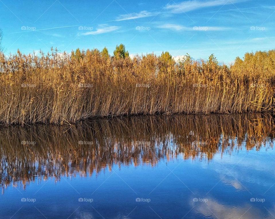 Mirror in autumn