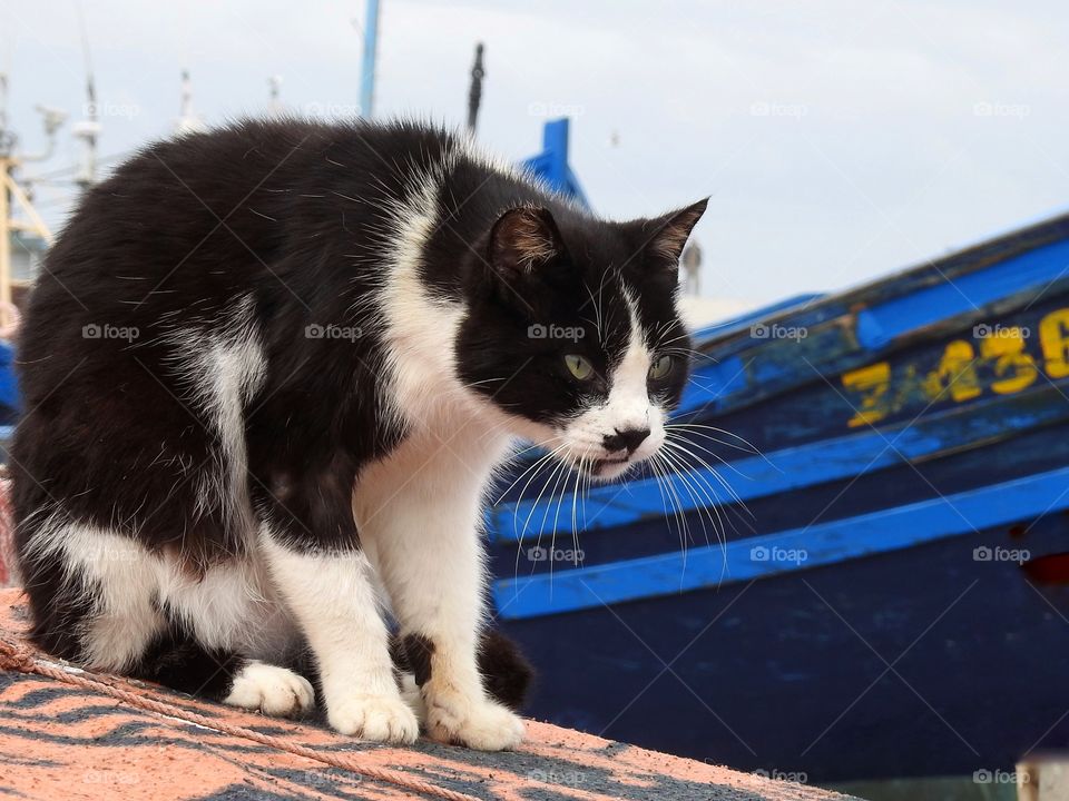 Checking out the port