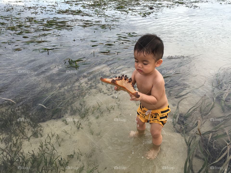 Cute boy holding starfish