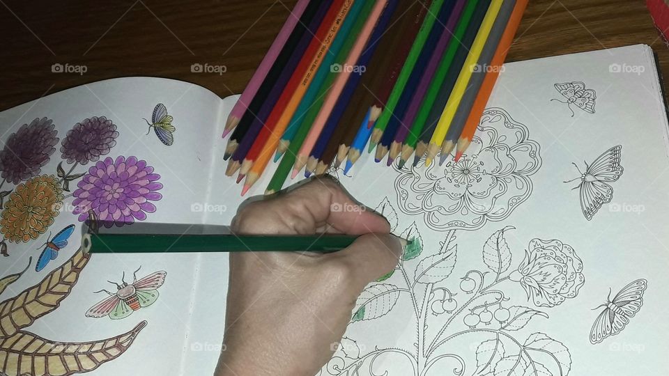 Desenho