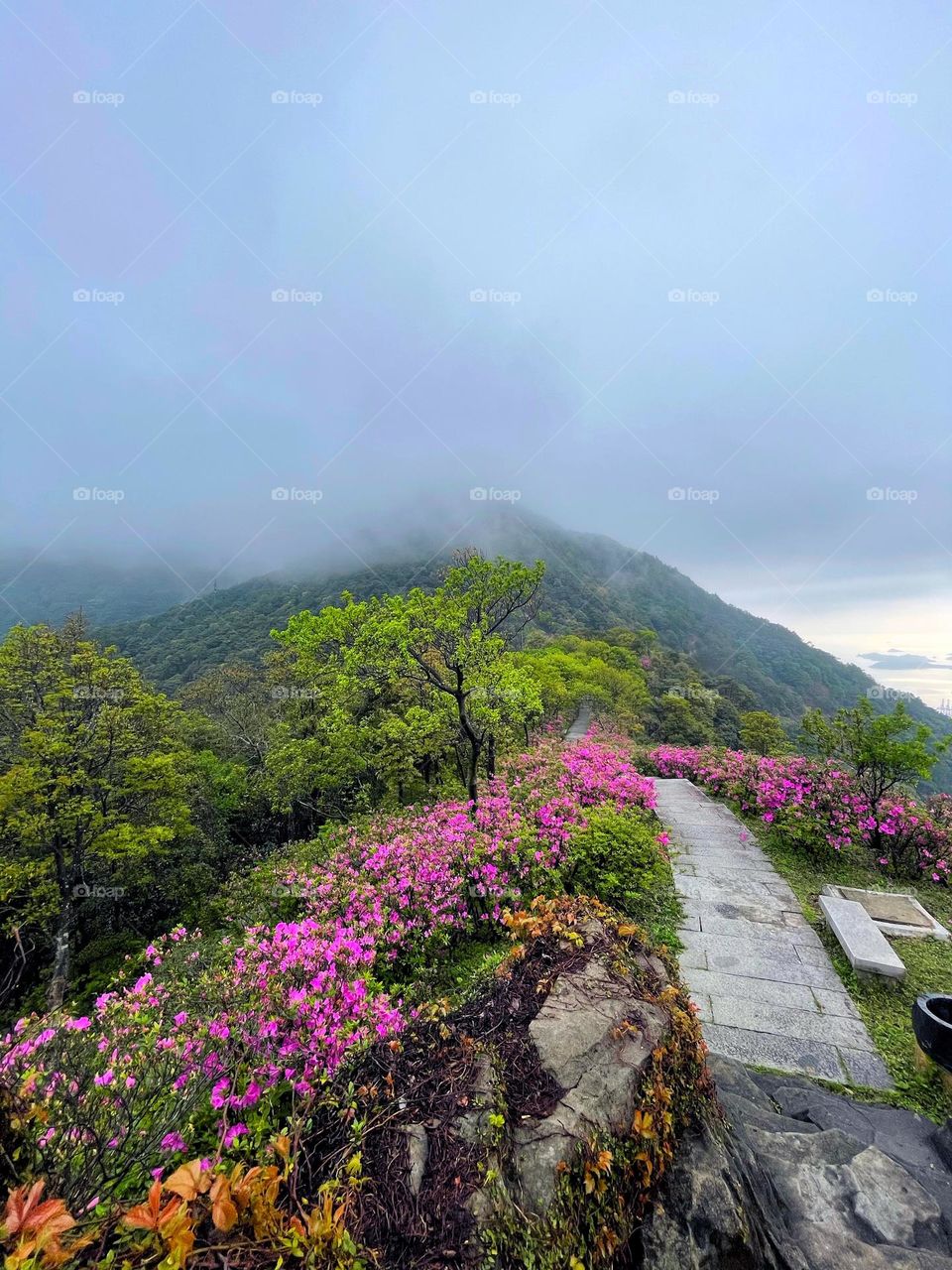 surrounded by clouds