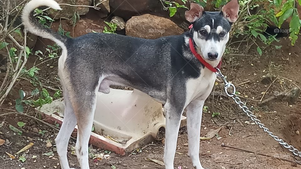 This click is very very beautyfull and nature