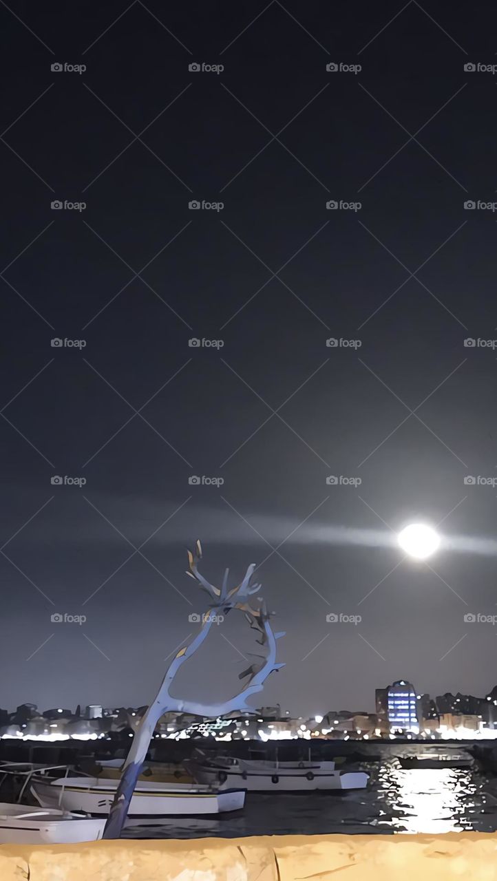 Silver moon of Alexandria 