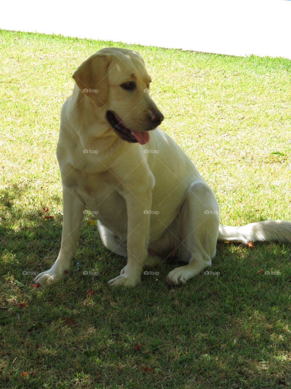 Resting a little bit under the tree 
