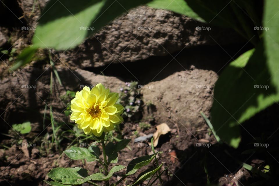 yes, it's spring again!!!