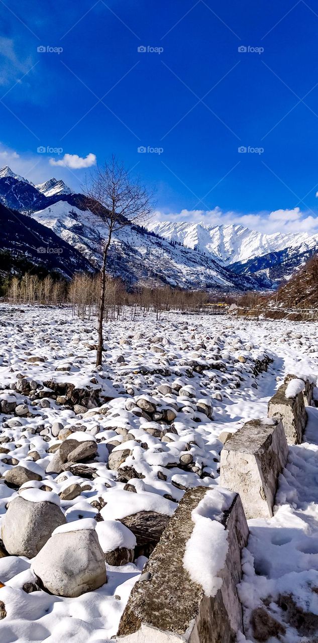 White snow looking like a cotton has fallen everywhere