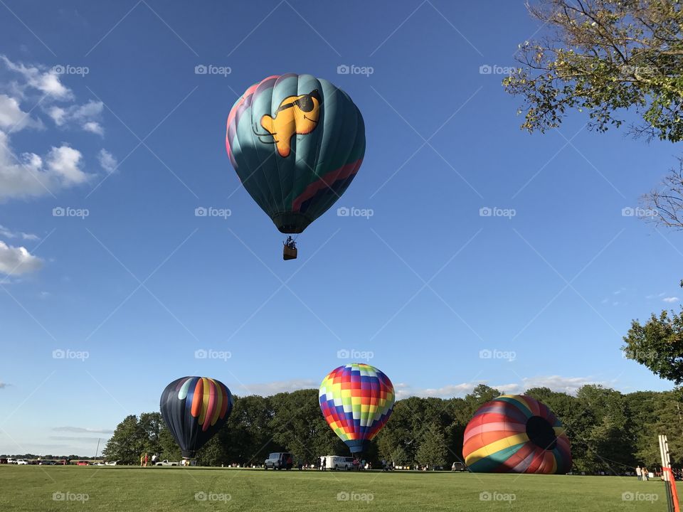 Hot air balloons inflating and taking flight 