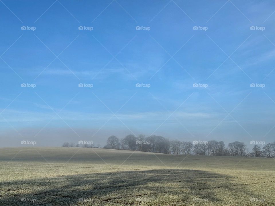 Sunny morning rural landscape