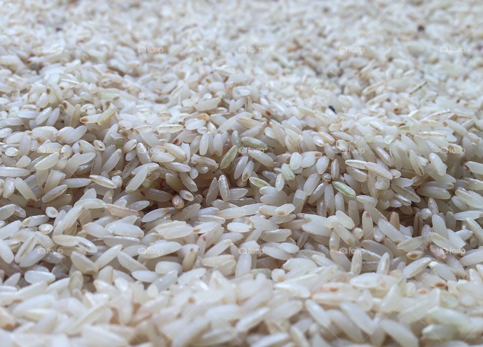Full frame of brown rice