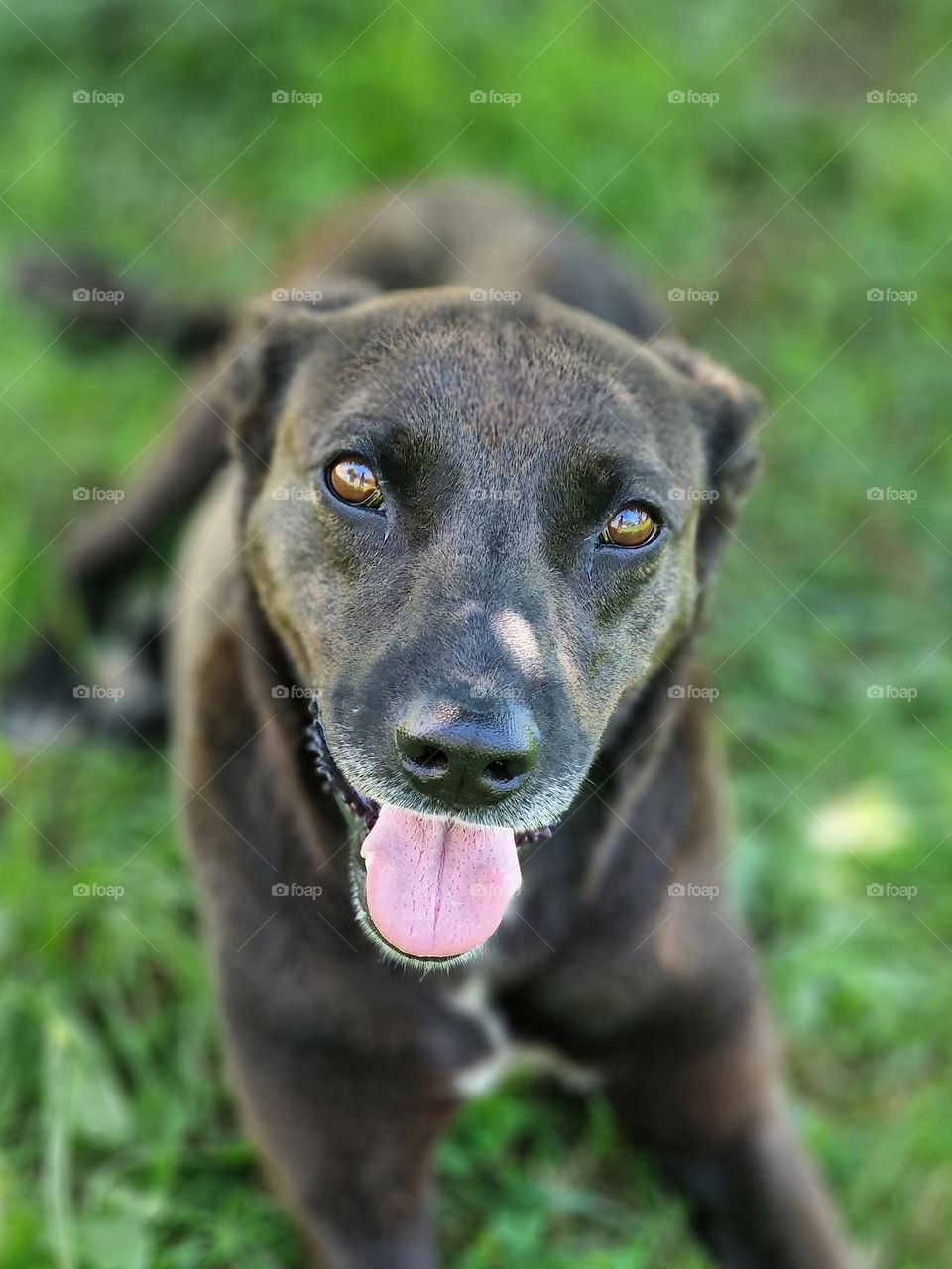 Her eyes were not just one color