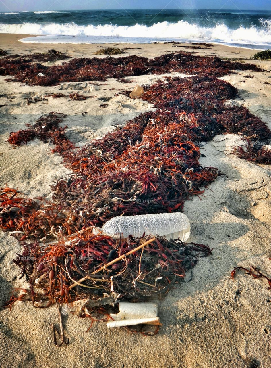 Plastic pollution. Plastic water bottle garbage on beach