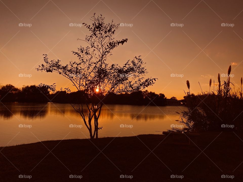 Sunset is very near. Colours blooming to set off Twilight the evening sky. Colour Hues are setting the scenery for the Night Sky. 