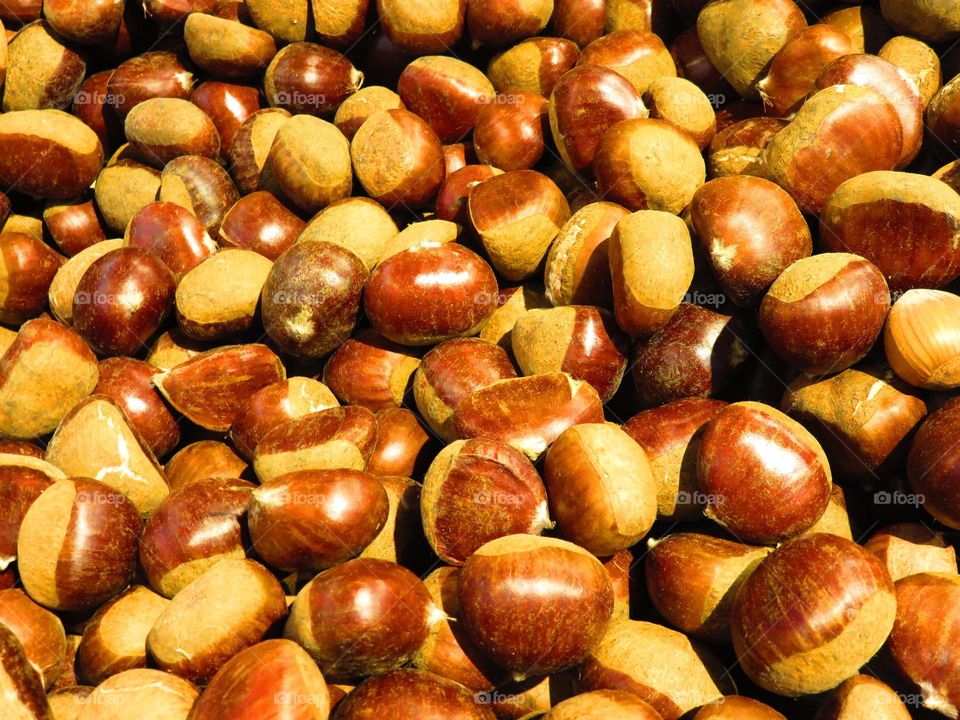 chestnut