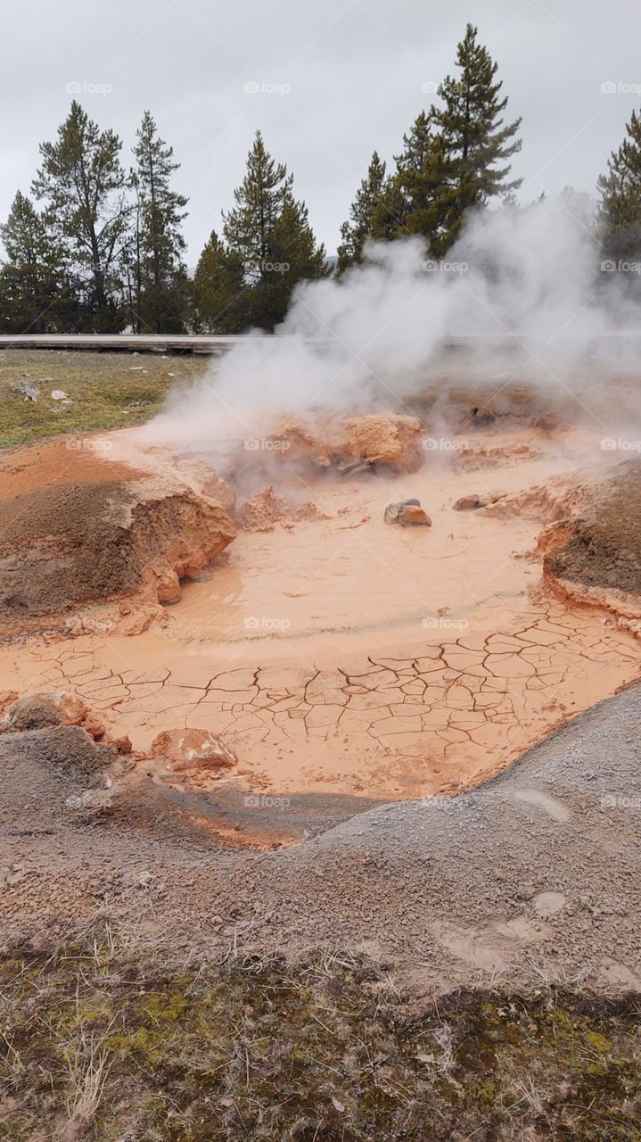 Yellowstone National Park