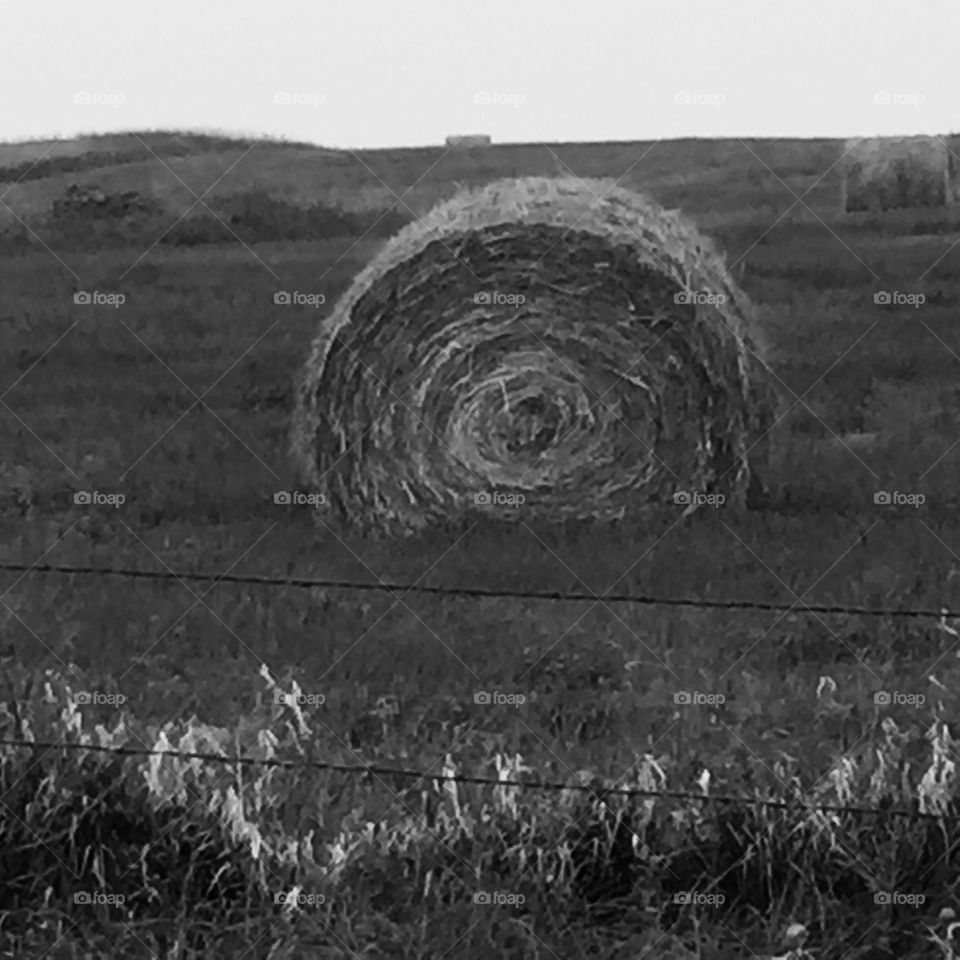 Black and white bale 