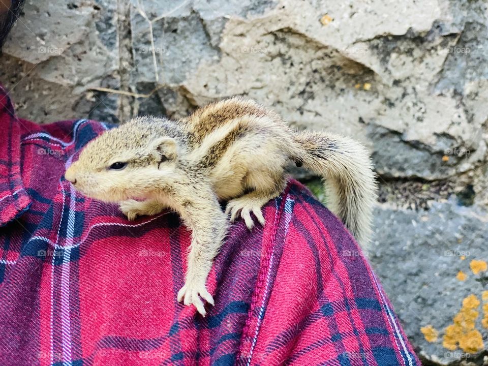 Love is a four-legged word.🐿