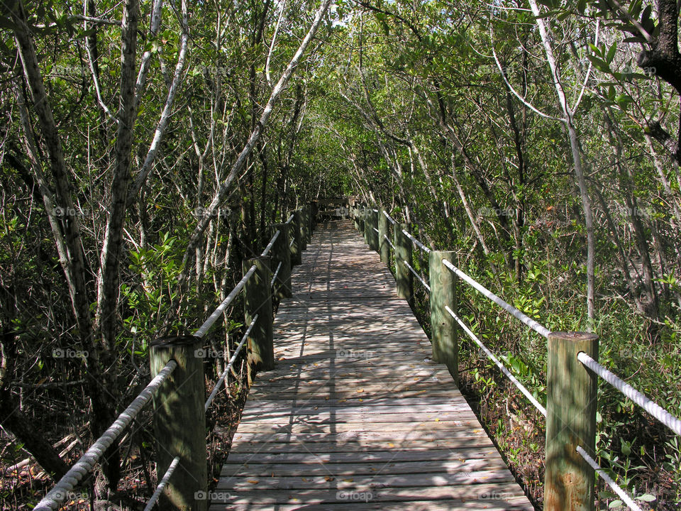 Walking path at Environmental Learning Center 