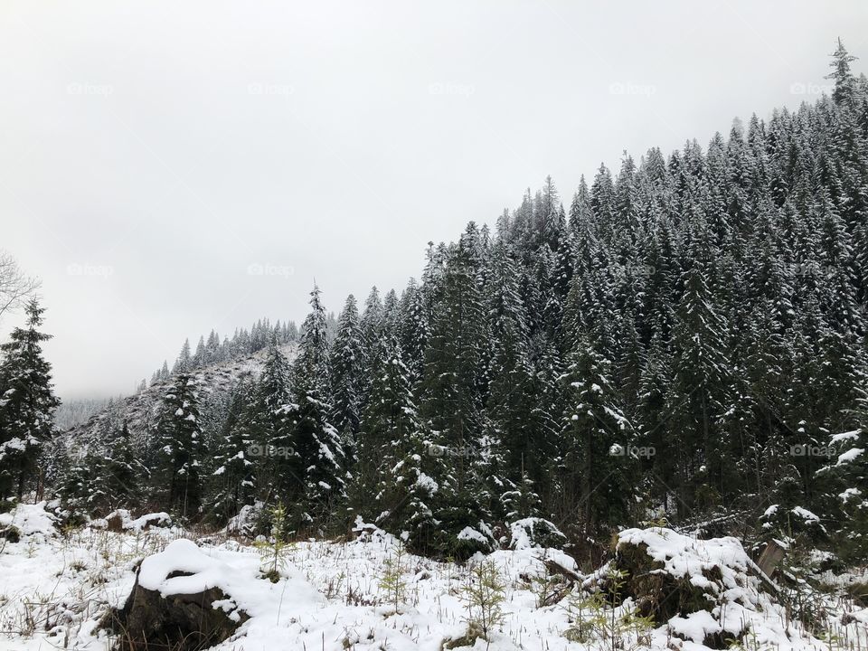 First snow in mountains 
