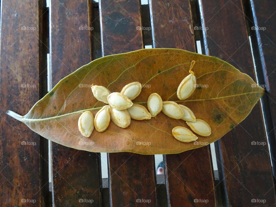 pumpkin seeds