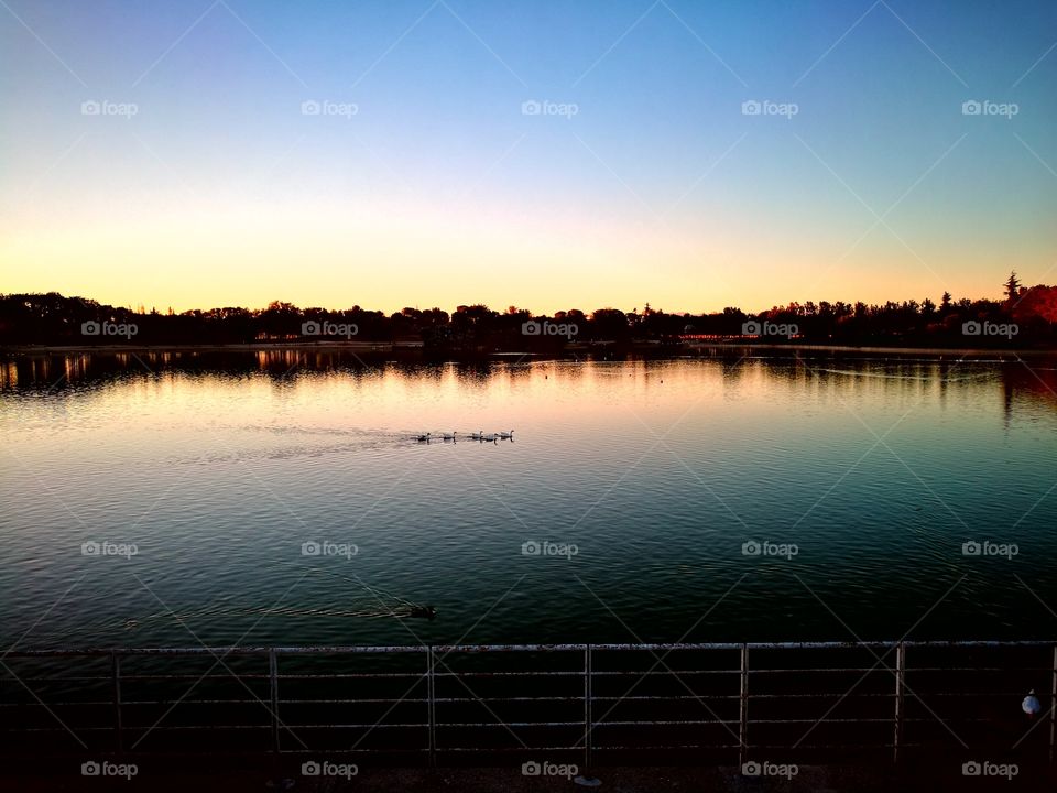 Water, Sunset, Dawn, Reflection, River
