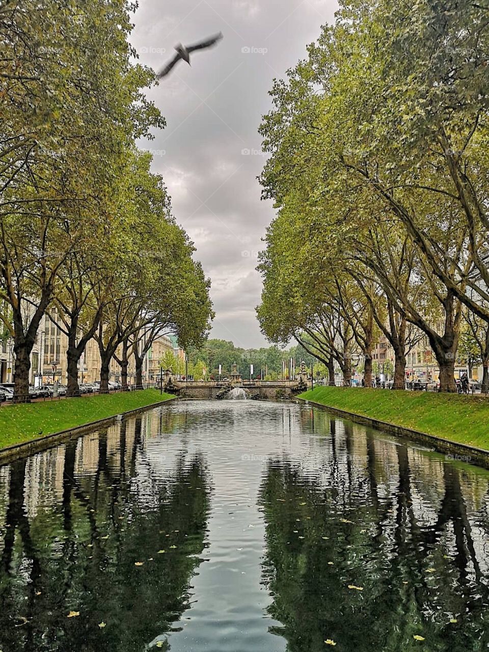 A cloudy afternoon walk
