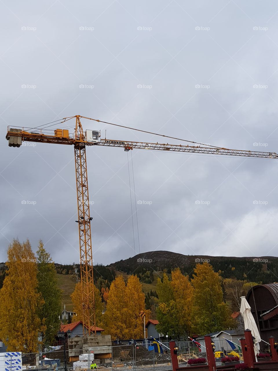 crane